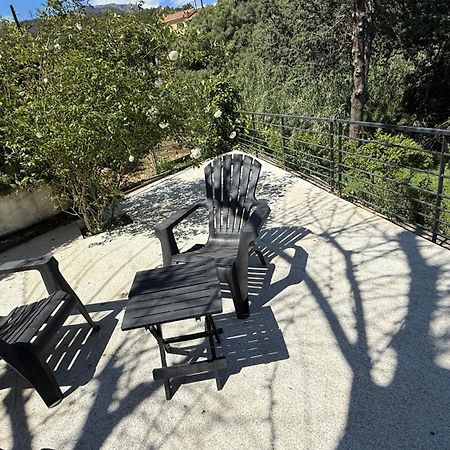 A Casa Corbaia Appartement 40 M2, Jardin Prive, Parking, Proche Centre Ville Et Mer Apartment 40 M2, Private Garden Parking Near Town Center And Sea Port And Airport Bastia  Eksteriør billede